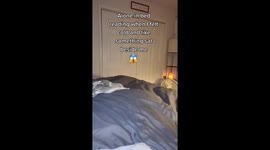 This happened one night when I was laying in bed reading.  I began recording when I felt movement on my bed