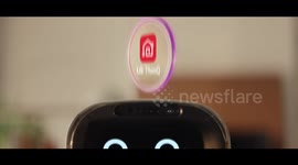 The clean machine: Cute new robot 'uses AI to crack household chores'