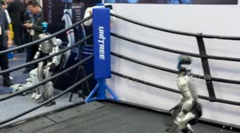 US: Chinese robot makers gain global attention at top tech show in Las Vegas