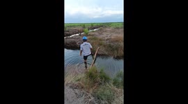 Man slips while crossing bamboo over floodwater in Banjarmasin, Indonesia