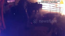Officers Rescue Trapped Cows From Barn Fire