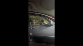 Impatient dog barks and beeps in car in Branford, Connecticut, USA