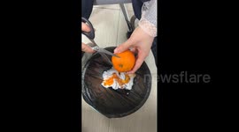 China: Chinese woman shows how to peel an orange cleanly using scissors