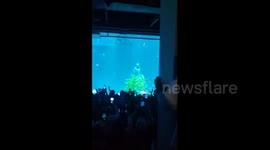 China: Mermaid in China surrounded by fish leaves visitors amazed in aquarium