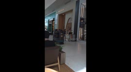 Stuffed Capybara With A Backpack Drives Cleaning Cart