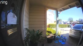 Kid's Hand Scares Mailman