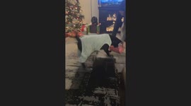 Dog Opens Christmas Present