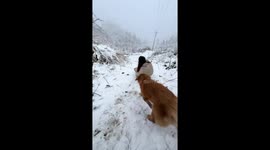 Playful winter moment as woman slides in Turnaround Village, Hunan, China