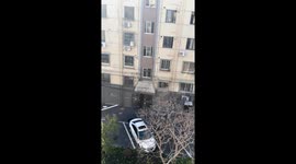 Man rescues cat from high-rise window in Shanghai, China