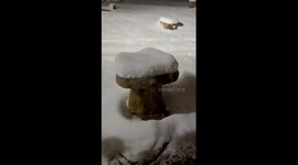 Snowfall after winter storm  in Evergreen, Colorado, USA