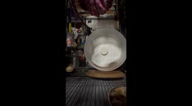 Southern flying squirrels’ playful wheel routine in Merrick, New York, USA