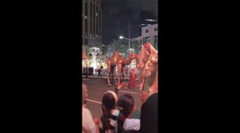 ‘Camel lady’ performer goes viral after surprising crowd at Dubai’s first New Year parade
