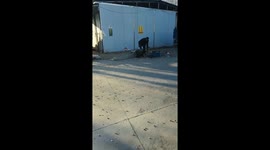 Chinese popcorn-making explodes during street demonstration in Shanxi, China