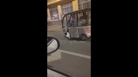 Dog hilariously runs alongside e-bike while half-riding in Henan, China