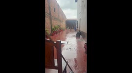 Playful slip in the rain with a loyal dog in Salta, Argentina