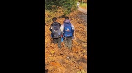 Schoolchildren walk through fallen leaves on joyful autumn morning in China