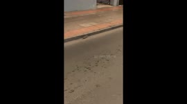 Black cat chases a mouse across the street in Almería, Spain