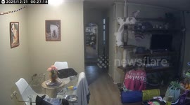 Chile: CATS astrophe! mischievous cats fall off the shelf