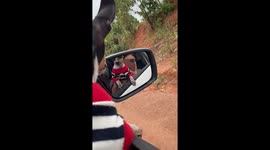 Pet  Miniature Pinscher barks at his own reflection in car mirror