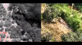 Brit, 63, lost overnight in snake-infested Thai jungle without food or water is rescued