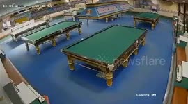 Ronnie O'Bullivan! Escaped buffalo charges through snooker hall in Thailand