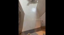 Playful shaving paper prank startles a cat in Shanghai, China