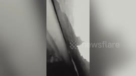 Husband found dead with python wrapped around his neck in the Philippines