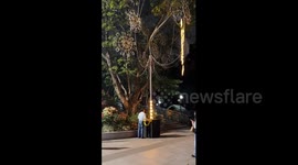 China: Chinese man brings a glowing tree to life with hand generated power
