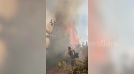 Wildfires burn approximately 12,000 hectares in Argentina's Chubut