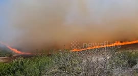 Wildfires ravage South Africa’s Western Cape, destroying homes (2)