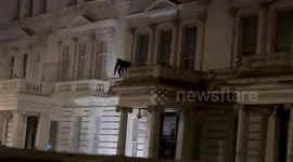 UK: Protester Replaces Iranian Flag With Pre-Revolution Flag at Iranian Embassy in London