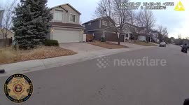 US: Police Chase Chickens Through Neighborhood In Wild Midday Drama