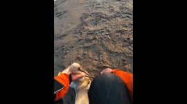 Chinese residents rescue a first class protected black faced spoonbill while fishing