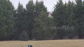 US: Snow Burst and Strong Winds Hit Charlottesville, Virginia