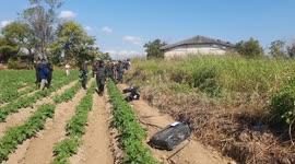 Soldiers seize 245kg of meth in northern Thailand