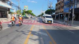 Clever stray dogs use pedestrian crossing as cars stop for them