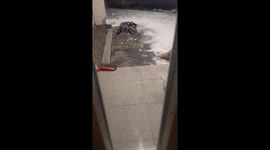 Fox wanders through a quiet residential neighborhood in Kållered, Sweden