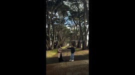 Surprise proposal during a couple shoot at Cypress Tree Tunnel in California, USA