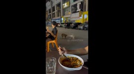 Tense face-off between two cats on the road in Kajang Putra, Malaysia