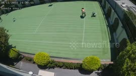 Backyard cricket bat mishap in Melbourne, Australia