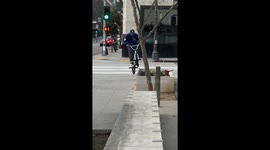 BMX Rider Knocks Tree Down on Streetwear Brand Owner