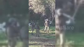 Palestine: Israeli Soldier Dancing During Demolition in Beit Ummar