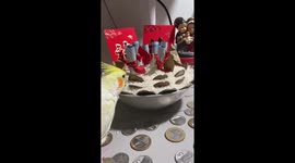 Pampered pet cockatiel eats rice from New Year prosperity bowl
