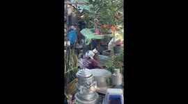 Pet cat sits on his owner's shoulders as he joins him at work