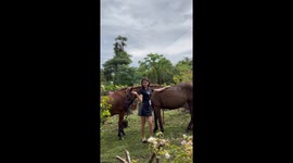 Grumpy horse refuses to have picture taken and bites tourist