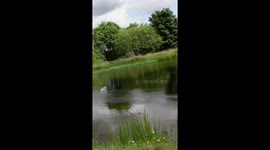 Angler Battles Monster Rainbow Trout in Scottish Highlands (Rothiemurchus)