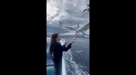 Teen briefly catches a seagull by hand in Thasos, Greece