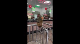 Mother monkey and baby sit in front of ticket booth