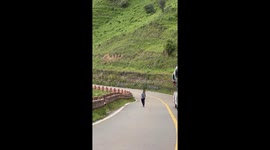 Chinese boy surprised drivers by directing traffic to catch a sheep