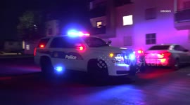 US, Phoenix: Phoenix Bell Road Apartment Complex Shooting Investigation